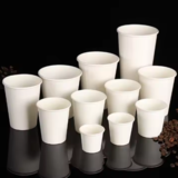 Paper Cup
