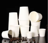Paper Cup